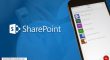 Sharepoint Development Specialist