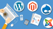 Know About the Top 4 CMS Tools for Web Development