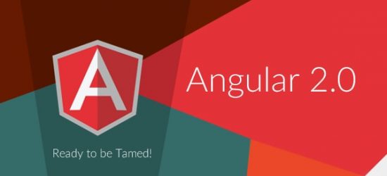 AngularJS Experts