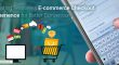 Ecommerce Development Consultancy