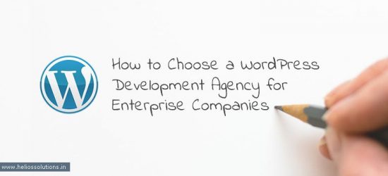 How to Choose a WordPress Development Agency for Enterprise Companies