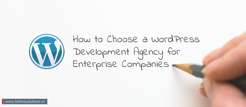 How to Choose a WordPress Development Agency for Enterprise Companies