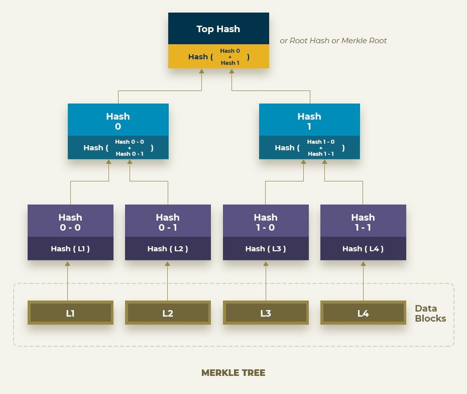 concept of Merkle Tree